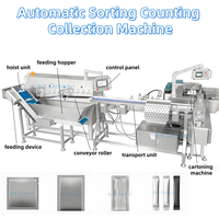 Ligne de machines d'emballage et de conditionnement en boîte entièrement automatique pour sachets multiples de poudre, liquides, granulés et bâtonnets