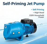 Pompe à jet auto-amorçante électrique 220V AC pour l'approvisionnement en eau des puits peu profonds et l'irrigation des petites surfaces