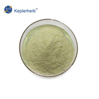 Poudre de kiwi 100% pure et naturelle, prix de la poudre de jus de kiwi, poudre de fruits séchés, poudre de kiwi pour compléments alimentaires