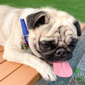 All'ingrosso alla moda perline di pietra naturale e trucioli di cristallo fatto a mano portachiavi con perline per animali domestici per collari per cani e gatti - Product Image 3