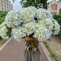 Bunga Hydrangea Buatan Besar Warna Putih Hijau Diameter 30cm Grosir untuk Dekorasi Pernikahan
