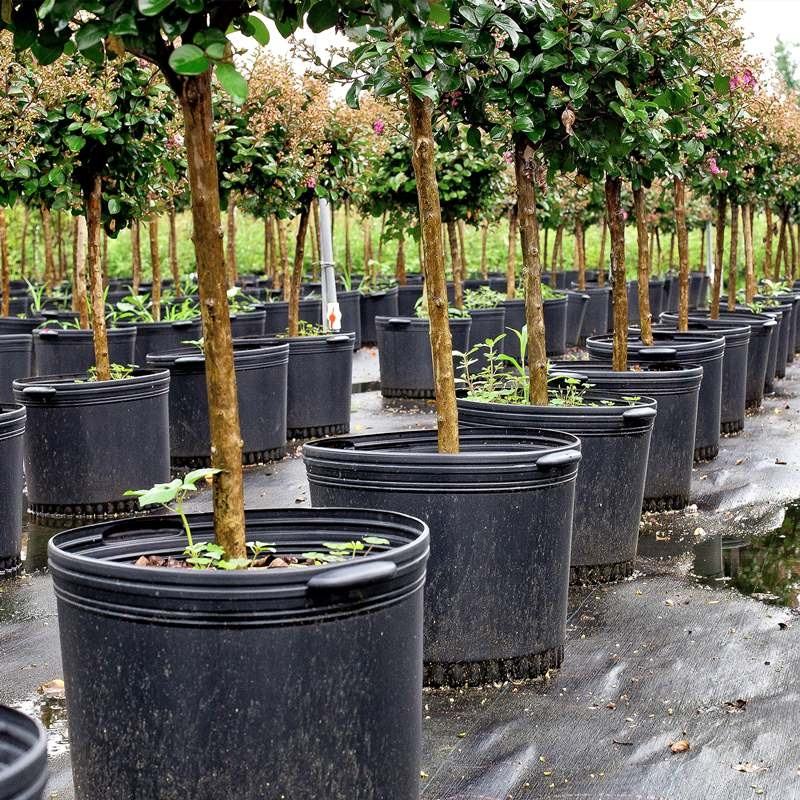 Wholesale Nursery Pots for Greenhouse Garden 1 3 5 7-Gallon Plastic ...