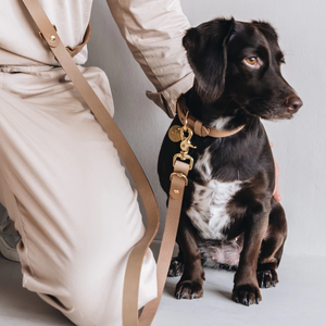 Correa ajustable de cuero para perros, correa de cuerda para perros con manos libres, accesorio de boda personalizado para mascotas - Product Image 1