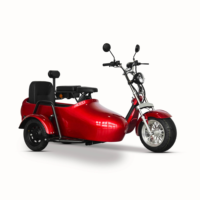 Scooter électrique à trois roues Sidecar Chopper 3000W GPS pliable, étanche, moteur sans balais, batterie au lithium - pour hommes/femmes/unisexe