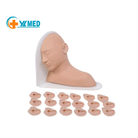 Modelos multifuncionales de ciencia médica para exámenes de oído y procedimientos de tratamiento Modelos de enfermería para el cuidado del oído humano