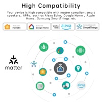 Prise intelligente Matter 16A, prise standard britannique, contrôle à distance par application, Homekit, automatisation domestique, prise intelligente Wi-Fi
