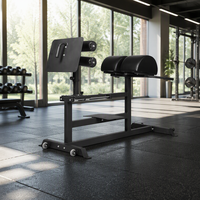 Chaise romaine d'hyperextension avec cadre en acier robuste et rouleau de cheville réglable pour la musculation du dos en salle de sport commerciale