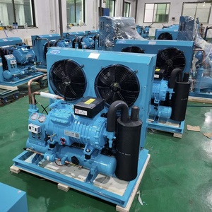 Unidad de Condensación para Sistemas Industriales, para Congeladores Rápidos, Intercambiadores de Calor - Product Image 6