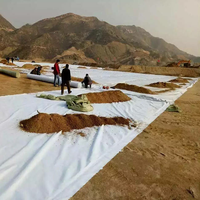Géotextile à haute filtration pour la filtration des fossés de drainage