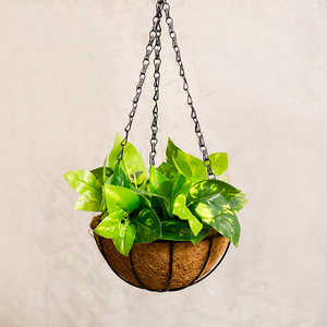 Maceta Colgante <span class=keywords><strong>para</strong></span> Plantas, Porta Flores <span class=keywords><strong>para</strong></span> Exteriores con Revestimiento de Fibra de Coco - Product Image 3
