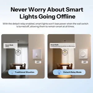 Interruptor de Pared Inteligente SONOFF Orb-MW1 Matter Over WiFi MINIR4M-E Serie Fusion, Control por Voz, <span class=keywords><strong>Compatible</strong></span> <span class=keywords><strong>con</strong></span> Google Home, <span class=keywords><strong>Alexa</strong></span> y Apple Home - Product Image 3