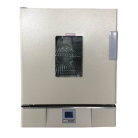 Four de séchage électrique vertical à air chaud, four de séchage à circulation d'air chaud, armoire de séchage de laboratoire à température constante