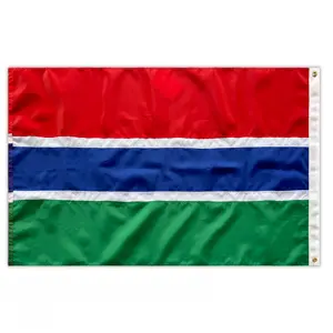 Luxe Gemaakt Genaaid Polyester Gambiaanse Vlag Banner Met Messing Grommet Waterdicht Naaien Nylon Land Vlag Van Gambia