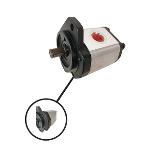 Bomba hidráulica de engranajes, eje con llave de 7/8 ", 6-29 GPM, 2300 PSI, hierro fundido SAE 10, maquinaria de construcción de salida - Product Image 6