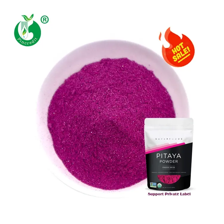 Gefrier getrocknetes Bio-Frucht pulver aus rotem Drachen Bulk Pink Pitaya Powder