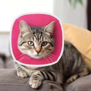 Collier anti-morsure réglable en tissu non tissé avec fermeture auto-agrippante pour chats et chiens de grandes, moyennes et gigantesques races - Product Image 6