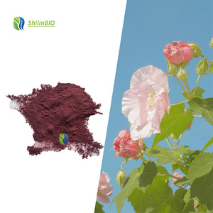 SLBIO Supply 10:1 Extrait de fleur d'<span class=keywords><strong>hibiscus</strong></span> en poudre, extrait végétal - Product Image 2