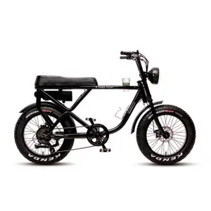 TXED 20 inch electric bicycle ebike motorcycle 500W/750W 48V Electric motor bike bicycle