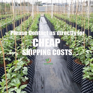 AwsPot 40 20 <span class=keywords><strong>30</strong></span> litres pots de pruneaux d'air max 30X40 pour bonsaï de fleurs, agriculture - Product Image 2