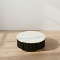 Table basse moderne avec plateau en pierre frittée, cadre en bois noir et acier inoxydable doré pour salon, avec rangement