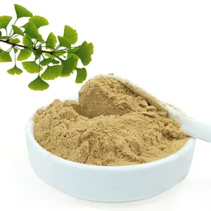 Hedera Helix Plant Extract Ivy 10:1 Powder Hedera Helix Extract Ivy Leaf Extract 10% Hederacoside C