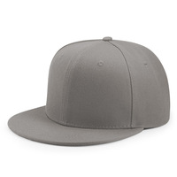 Gorra de Béisbol Unisex Personalizada, Deportiva, de 6 Paneles, 100% Lona de Algodón, Cierre a Presión, Hebilla Dorada de Cobre, Ajuste Bajo, Elástica, Casual, Estilo Hip