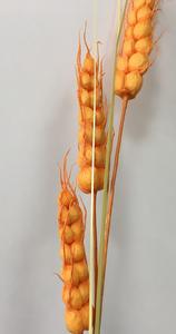 หญ้าแพมปาส์3กิ่งสำหรับตกแต่ง<span class=keywords><strong>ก้าน</strong></span>ทำจากข้าวสาลีเทียมแบบ2024ขนาด100ซม. สินค้าใหม่จากโรงงาน TCF - Product Image 2