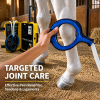 Appareil de magnétothérapie PEMF pour chevaux, facile à utiliser, efficace pour la physiothérapie équine