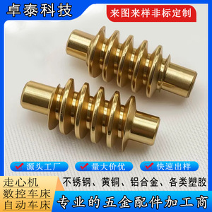 Custom <b>Worm</b> Gear Machining Nonstandard CNC Lathe Finishing Accuracy Burrs Free As Needed Length Diameter - Product Image 2