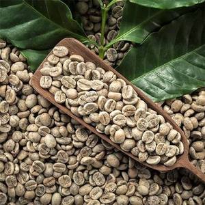 Grains de café Robusta vert non torréfiés de qualité supérieure, vente en gros, directement de l'usine, goût intense, haute teneur en caféine, stock disponible - Product Image 4