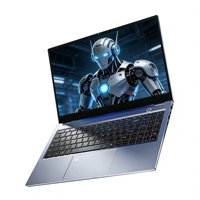 Custom OEM Factory 16 Inch Gaming Laptop AMD Ryzen 5 8GB RAM Metal Body English Keyboard Business Use Graphics Card