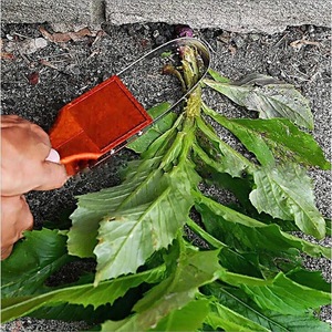 <b>Weed</b> Cutter Manual Weeding <b>Tool</b> Orange Plastic Garden Home Gardening Flower Vegetable Seedling Lifter - Product Image 1