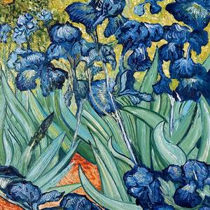 Arte Iris moderno estirado y enmarcado lienzo floral <span class=keywords><strong>Van</strong></span> <span class=keywords><strong>Gogh</strong></span> flores famosas pinturas al óleo reproducción Artwor lienzo arte de pared - Product Image 5