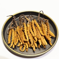 Extrait de Mycélium de Cordyceps Sinensis Sauvage Entier Séché en Gros, Poudre de Fleur de Champignon Longrich Militaris