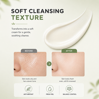 Nettoyant Moussant Équilibrant pour le Visage aux Extraits Botaniques – Complexe Équilibrant Cutané – Nettoyage en Profondeur