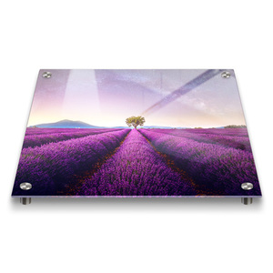 Panel de Pared Acrílico Decorativo Impreso, Lámina Cuadrada Portátil para Interiores y Exteriores, Resistente a los Rayos UV, Venta de Fábrica - Product Image 3