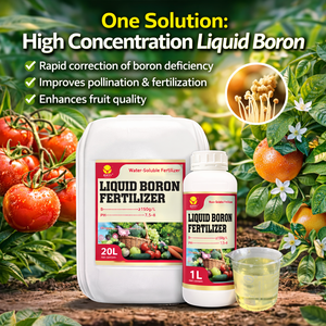 Fertilizante Líquido de Boro Premium, Suplemento Orgánico de Oligoelementos, Previene la Caída de Flores en Árboles <span class=keywords><strong>Frutales</strong></span>, Cítricos, Uvas y Vegetales - Product Image 5