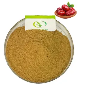 Extrait de Date rouge chinoise de haute qualité, extrait de Jujube, extrait de zizhiphus Jujube, Polysaccharides 50%-70%