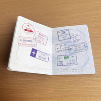 Impression de brochures de passeport personnalisées, promotion, impression offset bon marché, usine
