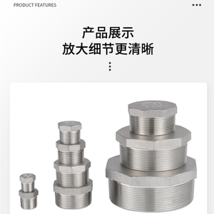 Tapón de tubería de rosca macho de cabeza hexagonal de acero inoxidable forjado en fábrica Carp Journey con tratamiento de pasivación por decapado, clase de resistencia al fuego 150 - Product Image 2