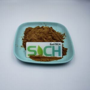 Extracto de Flor de Crisantemo de Alta Calidad, 100% Natural, 0.3% de Parthenolide, Extracto de <span class=keywords><strong>Parthenium</strong></span> - Product Image 3