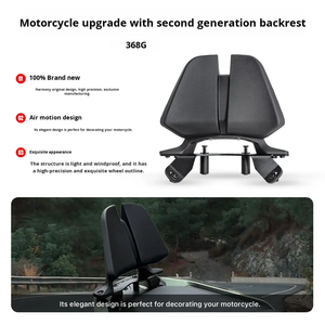 Pour ZONTES 368G <span class=keywords><strong>moto</strong></span> porte-étagère arrière Support <span class=keywords><strong>passager</strong></span> <span class=keywords><strong>sacoche</strong></span> dossier coussinets - Product Image 3
