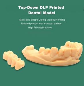 Stampante 3D Dentale Automatica DLP250 con Stampa Rapida 24H |   Nuova Stampante 3D in Resina WiFi/USB con 1 Anno di Garanzia per Modelli da Collezione e Modelli Medici - Product Image 6