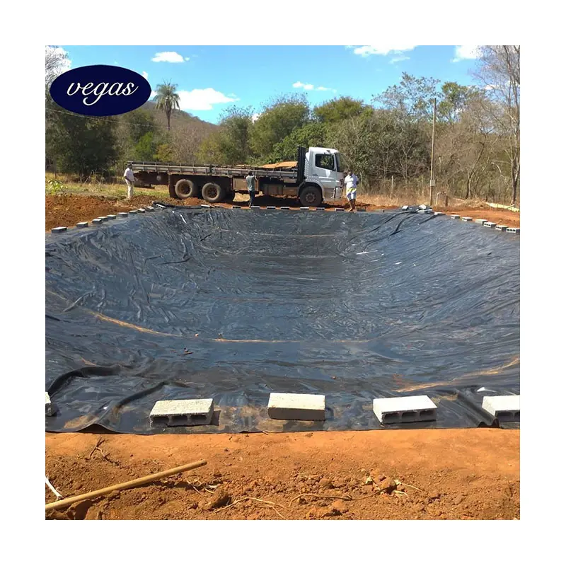 HDPE Geomembrane 0.5mm 0.75mm 1mm pond liner for fish farm pond