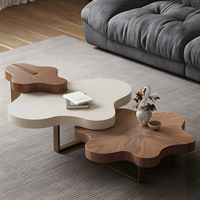 Table Basse Nuage Moderne de Luxe Léger Italien, Ensemble de Tables Basses Créatives Irrégulières, Plateau en Bois Personnalisable Écologique pour Salon