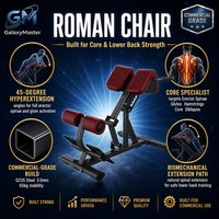 Chaise romaine commerciale d'hyperextension et d'extension dorsale, avec cadre en acier Q235, réglable, pour entraînement du tronc et développement du bas du dos en salle de sport