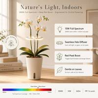 Coffret Cadeau Plante d'Orchidée avec Lampe de Croissance et Pot Intelligent Auto-Arrosant – Boîte Cadeau de Noël pour Plantes d'Intérieur – Vente en Gros Personnalisable