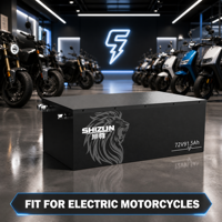72V 91.5Ah LiFePO4 Lithium Battery Pack 72V Lithium Battery 3000 Cycles Smart BMS High Discharge for Electric Motorcycles