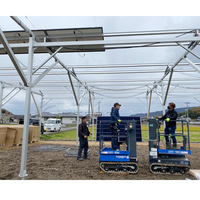 1MW Fabricant chinois de système de montage au sol pour ferme solaire Structure agricole photovoltaïque Système de support pour ferme solaire