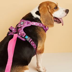 MIDEPET nouvel arrivage produit pour animaux de compagnie OEM/ODM réglable personnalisé <span class=keywords><strong>Anti</strong></span>-fuite pas de traction <span class=keywords><strong>harnais</strong></span> pour chien et laisse élastique robuste - Product Image 4